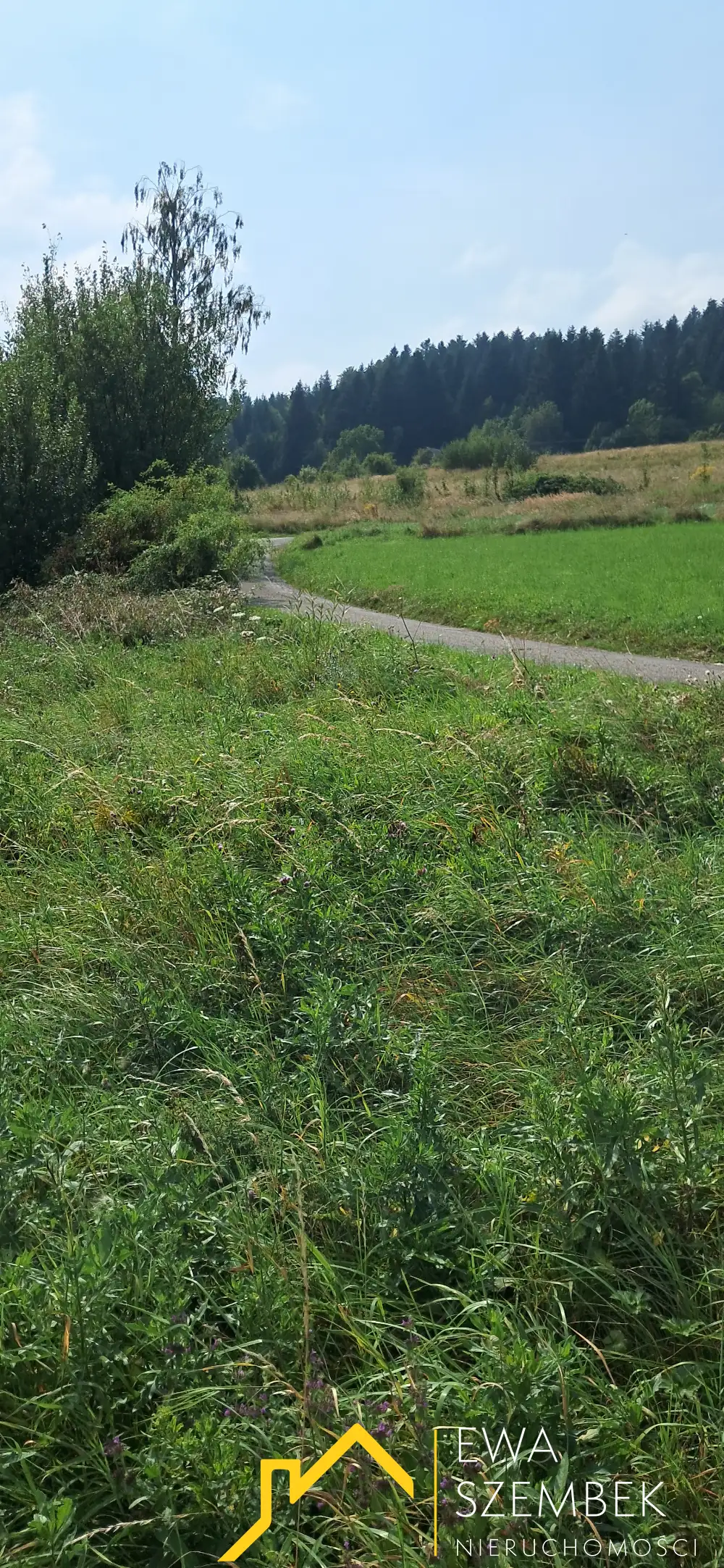 Wyjątkowa działka budowlana w rejonie Limanowej z widokiem na góry - Działki w górach na sprzedaż