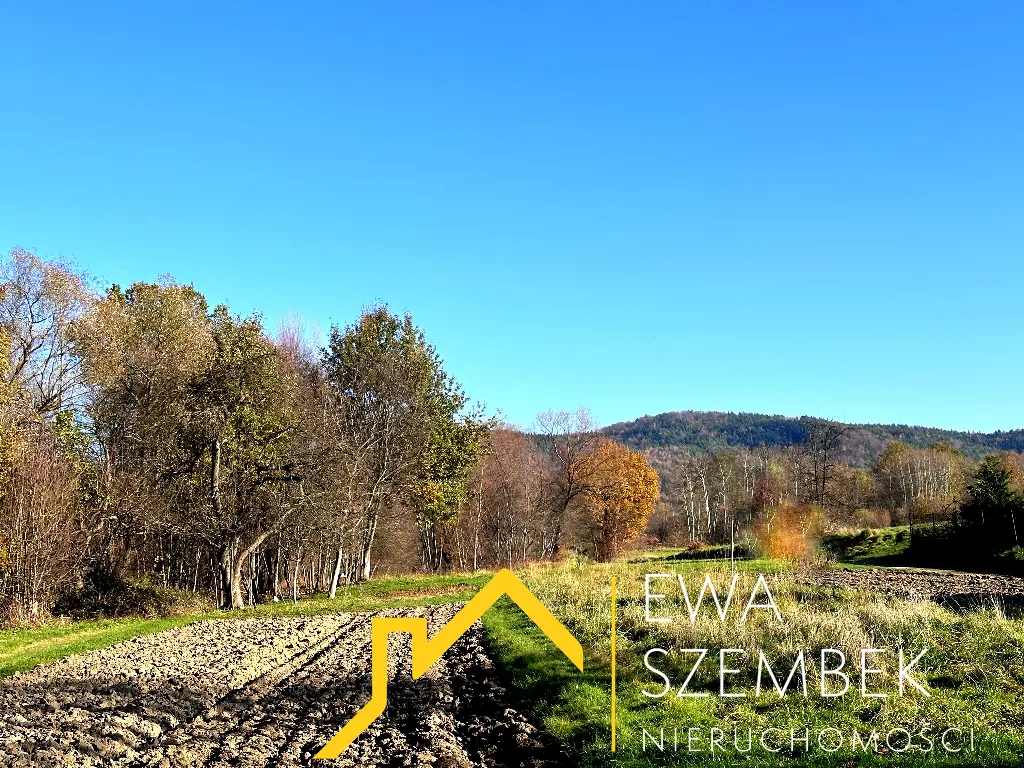 drewniany dom do własnej aranżacji – działka 3800 m² - Dom w górach na sprzedaż