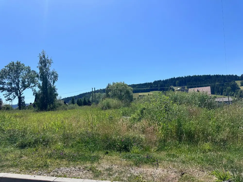 Twoje miejsce w sercu Rabki-Zdroju – działka 2464 m² czeka na Ciebie! - Działki w górach na sprzedaż
