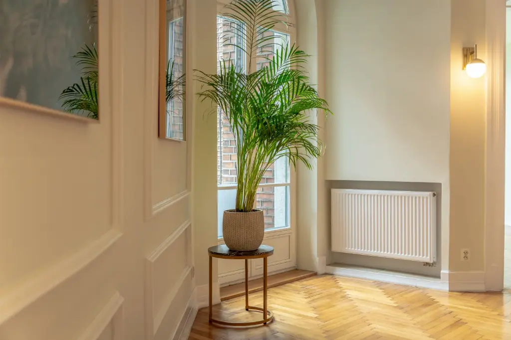 Stare Miasto / ok. Rakowicka mieszkanie sprzedam - Mieszkanie na sprzedaż Kraków