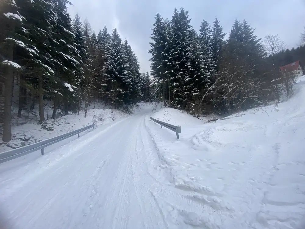 Dom w zielonym zaciszu Szczawy – przy lesie, wśród natury - Dom w górach na sprzedaż