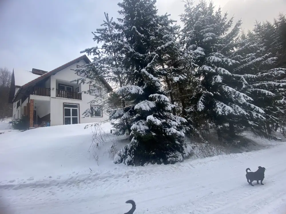 Dom w zielonym zaciszu Szczawy – przy lesie, wśród natury - Dom w górach na sprzedaż