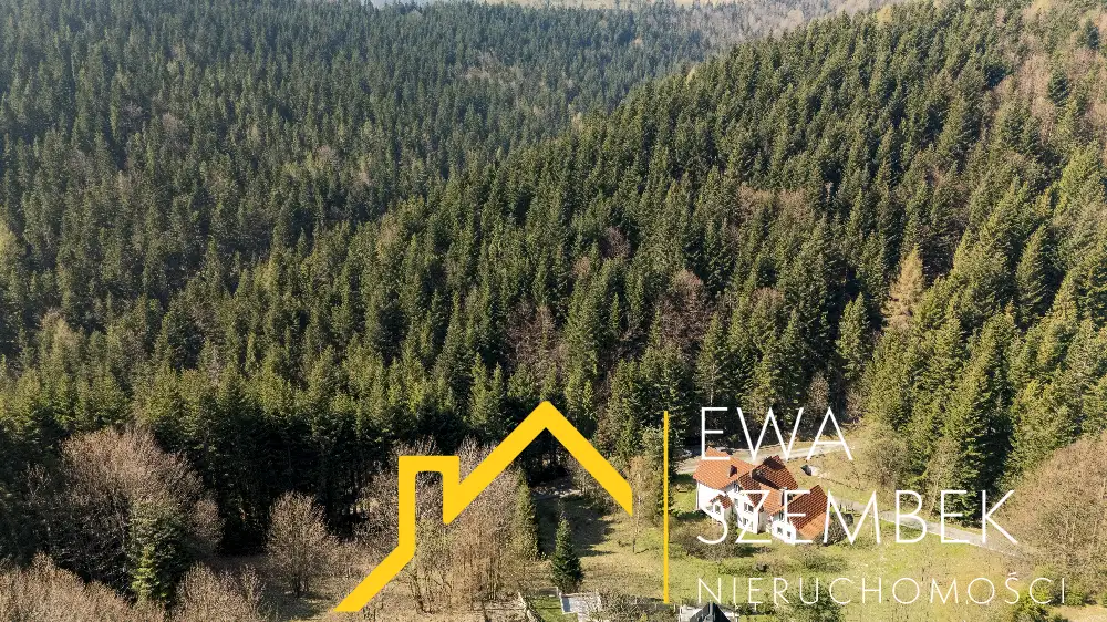 Zdjęcie 3