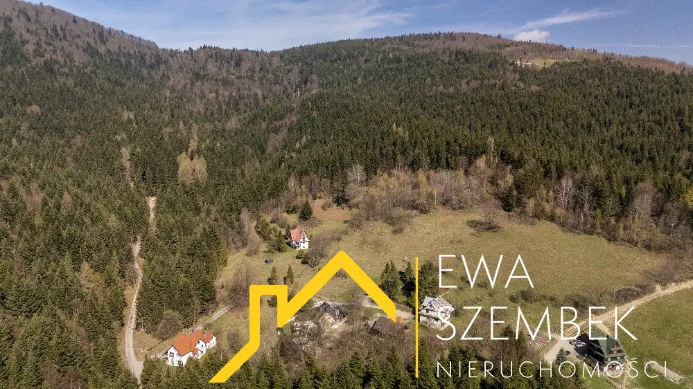 Zdjęcie 4