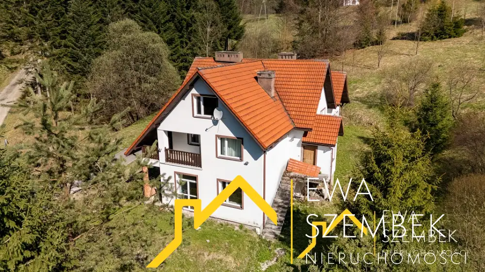Zdjęcie 1