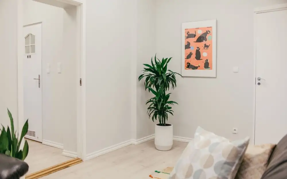 Dwupak inwestycyjny: 3 pokojowe 50,5m2 i 3 pokojowe 80,5m2 w centrum Krakowa - Mieszkanie na sprzedaż Kraków