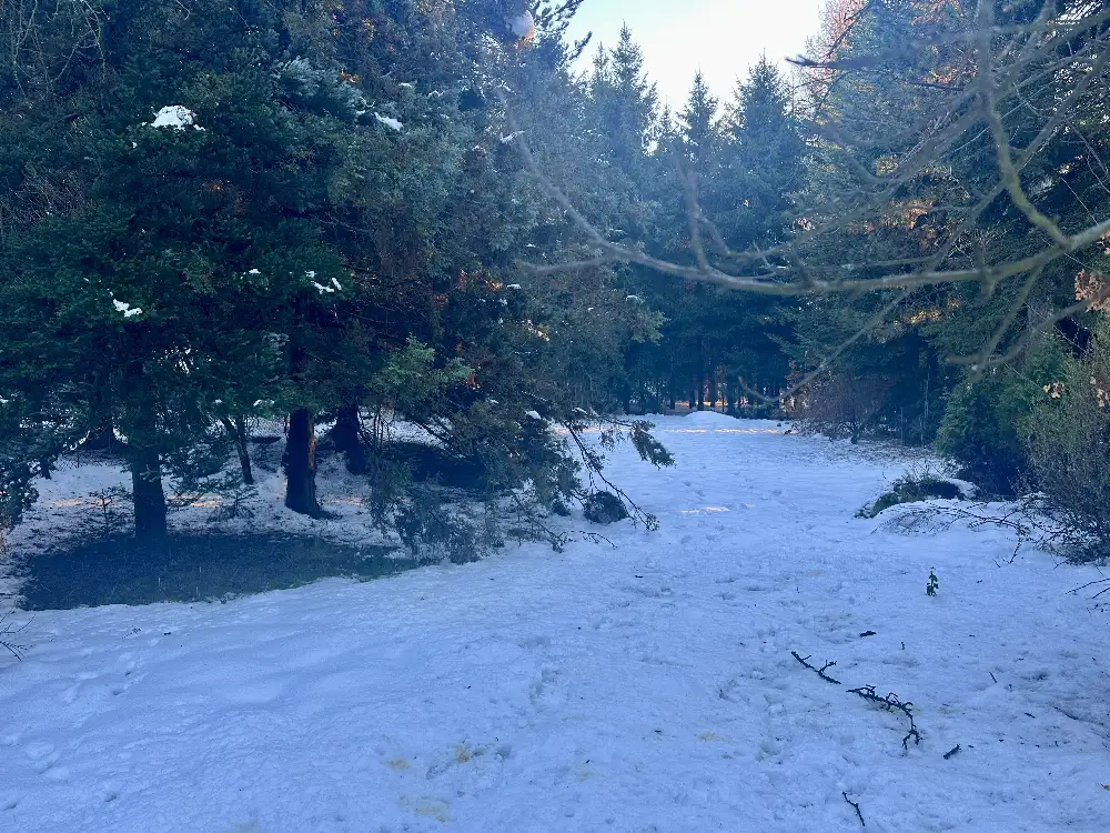 Dom z klimatem w otoczeniu zieleni - Dom w górach na sprzedaż