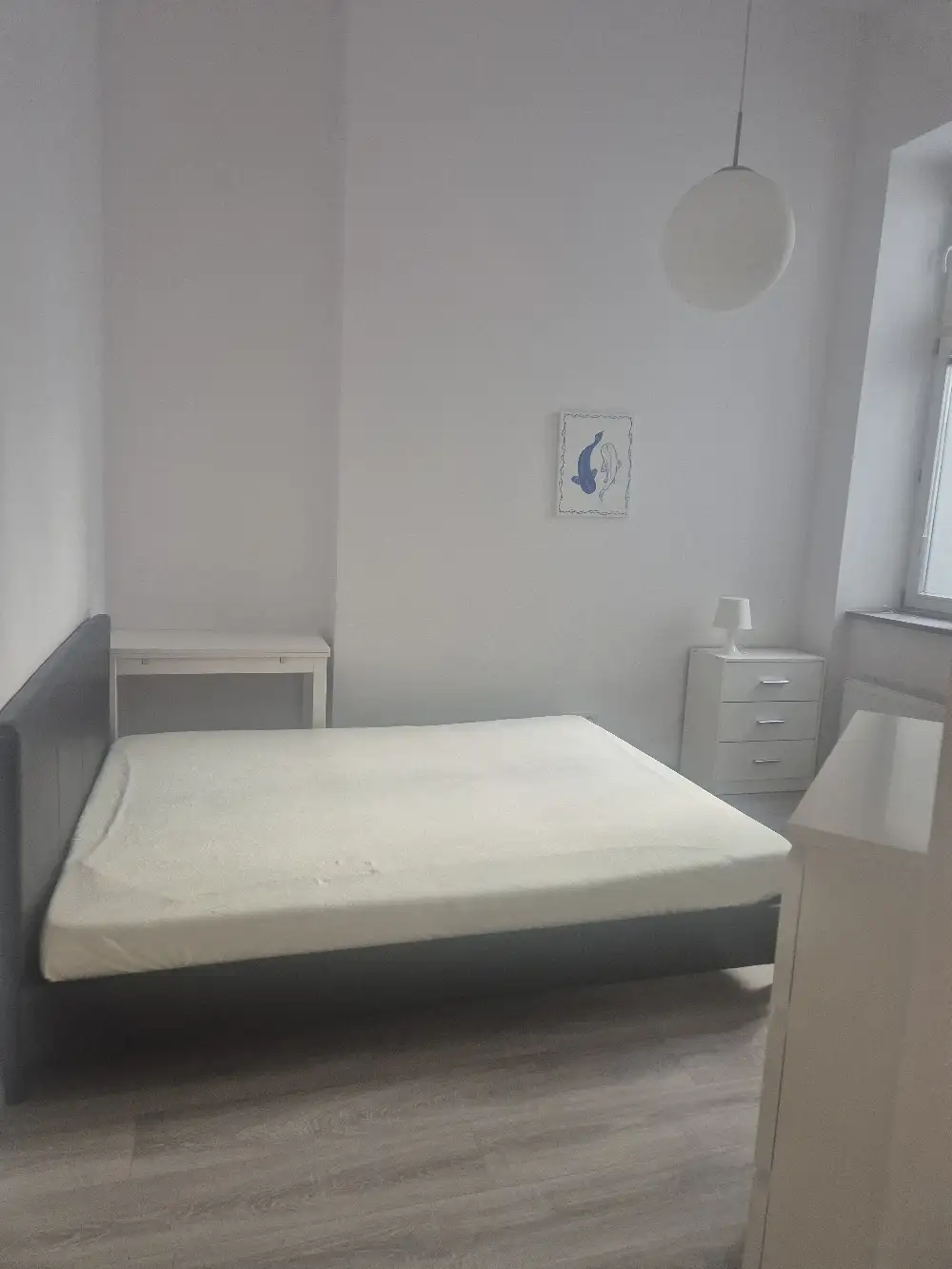 Zdjęcie 5