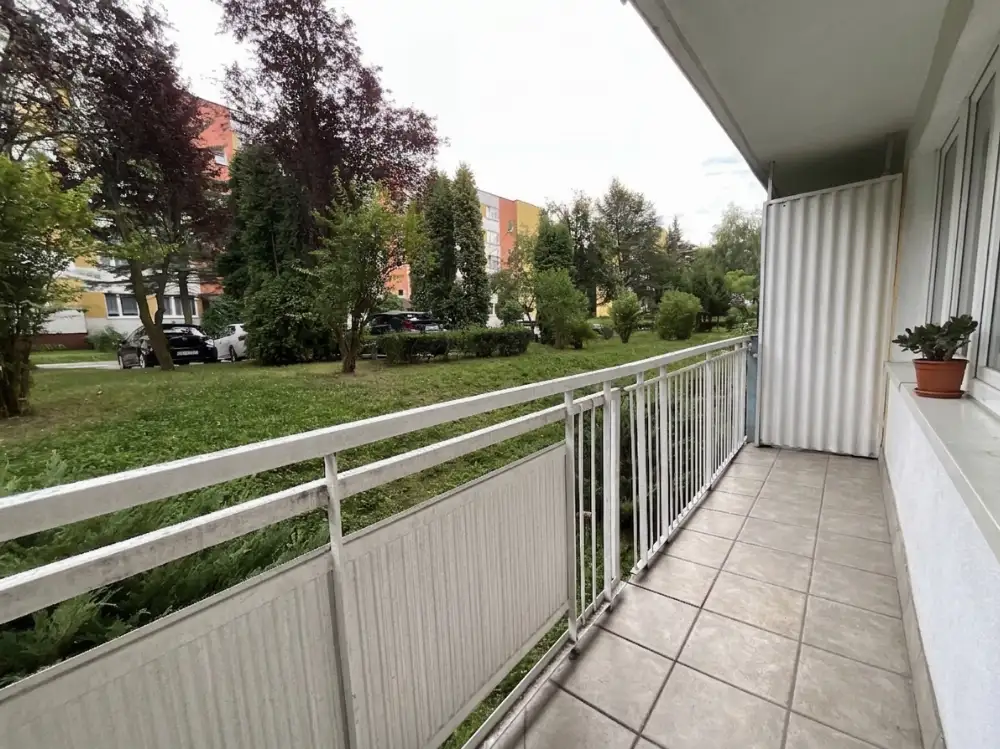 Zdjęcie 5