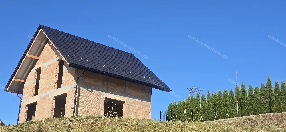 Zdjęcie 1