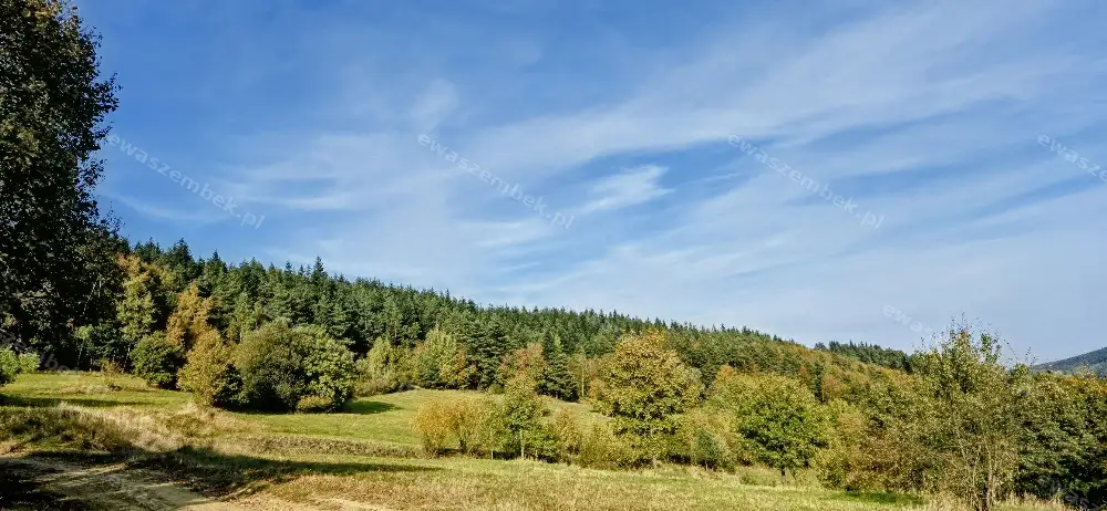 Zdjęcie 2