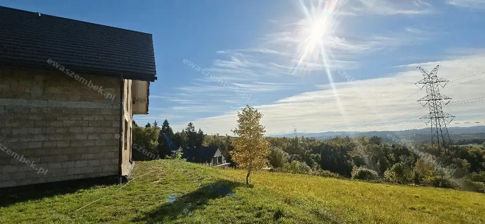 Zdjęcie 3