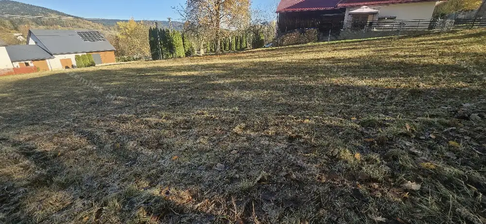 Zdjęcie 1