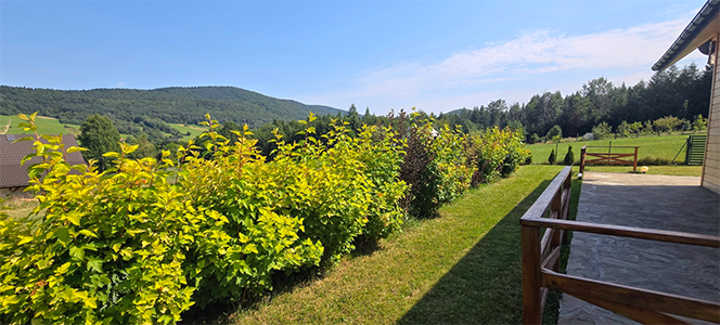 Drewniany dom w Beskidzie Niskim otoczony zielenią i górami